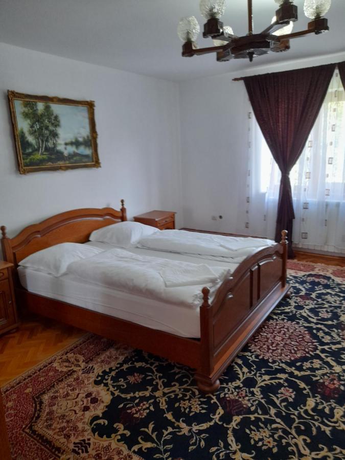 Hotel Casa Miki Haţeg Exterior foto