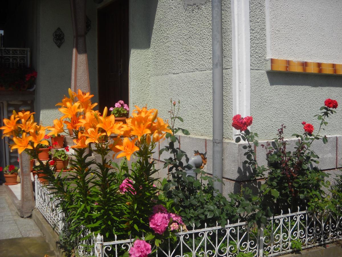 Hotel Casa Miki Haţeg Exterior foto