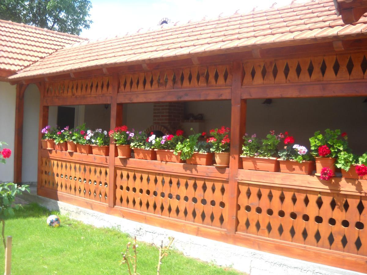 Hotel Casa Miki Haţeg Exterior foto